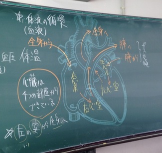 黒板が電子黒板に 現場主導 今すぐ使えるict活用法はコレだ 科学のネタ帳