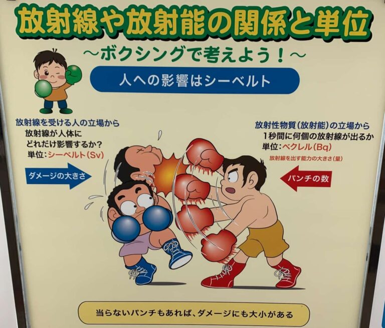 ボクシングで考える放射線の単位「ベクレルとシーベルト」 科学のネタ帳