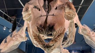 スクリーンショット-2025-07-31-