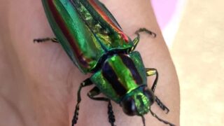 スクリーンショット-2025-08-05-