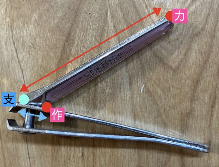 爪切りの構造図