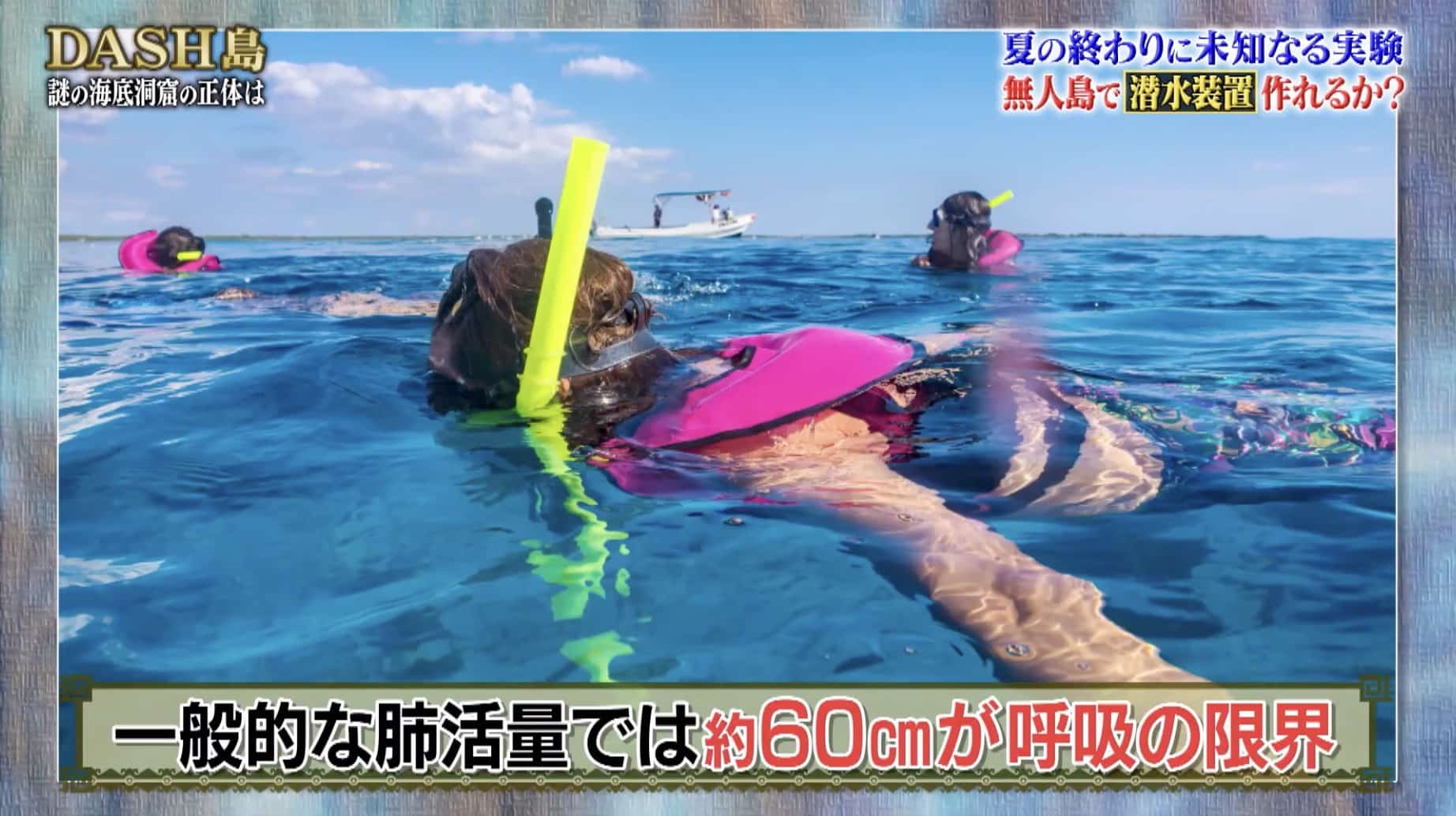 鉄腕DASHの放送画面
